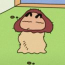 짱구가짱 이미지