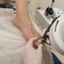 분당-240 이미지