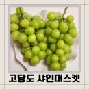 감골농장 이미지