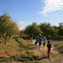 영성농장 이미지