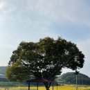 결성면 원성호마을회관 | 결성면 성호리 후청동마을 - 마을 둘러보기