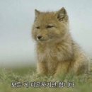 (주)안다미로24 | 독재인생기록부