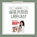 (주)지니카 | 설포카프린 효과, 부작용, 내돈내산, 가격, 성분, 복용법