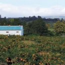 장대들길 이미지