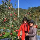 삼애농원 이미지