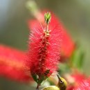 동래향교 이미지