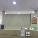 대전 유성구 속눈썹펌 맛집 엘리뷰티 후기