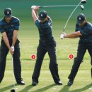 몸에 좋은 골프 이미지