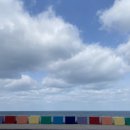 청오돼지들의세상 | 7️⃣☾🚂☽