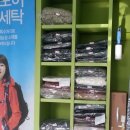 크린토피아창전