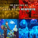 상상홀릭 | 막 찍어도 화보! 제주실내가볼만한곳 제주홀릭뮤지엄 방문기