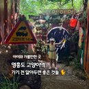 고양이이야기 | 영흥도 고양이역 아이랑 다녀온 후기｜입장료·가격·카페·식당 꿀팁