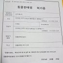 전주 햄스터 이미지