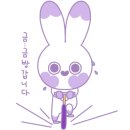 프리티파우 이미지