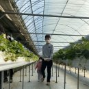 포시즌농장 이미지