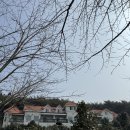 장꽁 | 여행 : 안면도펜션 #장꽁펜션 솔직한후기, 장점!오션뷰펜션, 아쉬운점이 많은 펜션, 다음엔 리솜으로👏👏