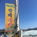 안계농장 이미지