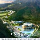 도원태권도 이미지