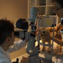 청담눈초롱안과동물병원 이미지