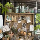 마음 담은 가족 캘리그라피 - 백드롭 페인팅 캘리그라피 | 새 블루밍에서의 체험클래스 ☕ 가을 향기 가득한 하루, 블루밍앤브러쉬 테라리움 클래스 후기