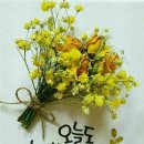 제일푸드 - 진주시 | 제일푸드