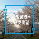 주산주유소 | 충남 보령 벚꽃명소, 주산벚꽃길 보령댐
