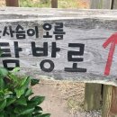 일오삼가든 이미지