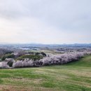 삼화목장 이미지