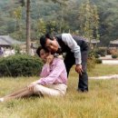 신의인력사무소 Daum카페