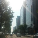 종합운동장 가로수길 이미지