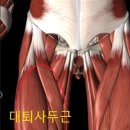 패밀리휘트니스헬스 네이버블로그
