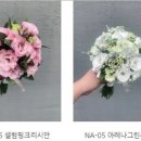 더그린디렉팅