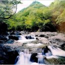 금수강산 이미지