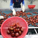 농협소태 이미지