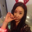 미니 & 바니 애견샵 이미지