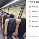 센텀 뉴 제주관광