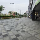 나성동_명동프라자앞BRT 이미지