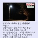 매일양식2