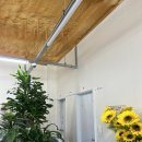 뿌리 생선국수 이미지