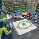 미래몬테소리어린이집 이미지