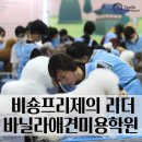 바닐라애견미용학원