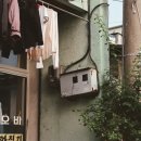 달빛세탁소 이미지