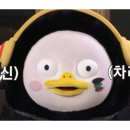 주정차80 이미지