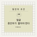 앵두피부관리