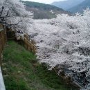 4월 1일(화) 황장산 (942m / 경남 하동) 벚꽃산행 이미지