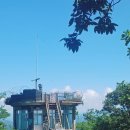 진원농장 이미지