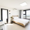 제주 246 이미지