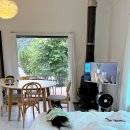 댕댕포레스트 이미지