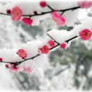 설화 - 중랑구 면목로91길 22 | 설화