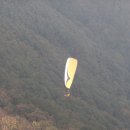 제이피에이 이미지
